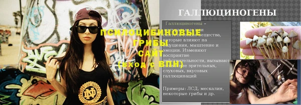 спайс Аркадак