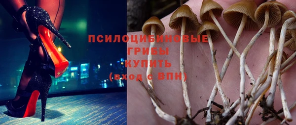 спайс Аркадак