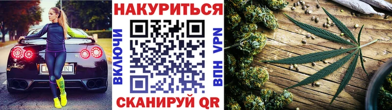 Конопля индика  Абакан 